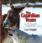 Guardian Team cover