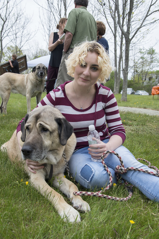 MAY 21: Kangal Club of America Dog Show, Windhover Center for the Performing Arts, Rockport, MA. (Photos by Tsar Fedorsky)